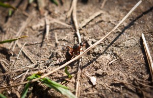 IMG_2729.jpg