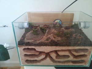 IMG-20170524-WA0026.jpg