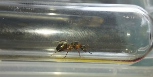 20170604_150003-1.jpg