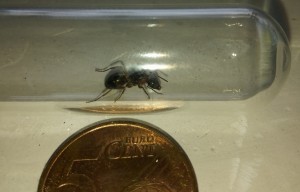 20170604_150204-1.jpg