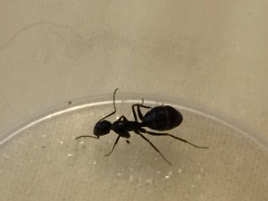 IMG_8844.JPG (181.51 KiB) 1093 mal betrachtet IMG_8844.JPG