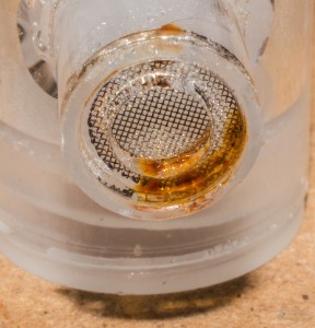rost (1 von 3).jpg