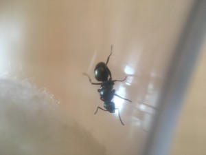 IMG_1568.JPG (1.4 MiB) 660 mal betrachtet IMG_1568.JPG