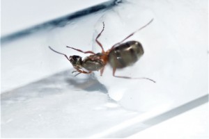 DSC00898.JPG (249.64 KiB) 1031 mal betrachtet DSC00898.JPG