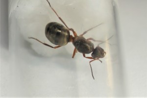 DSC00903.JPG (179.91 KiB) 988 mal betrachtet DSC00903.JPG