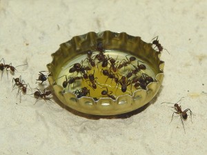 DSCN2612.JPG