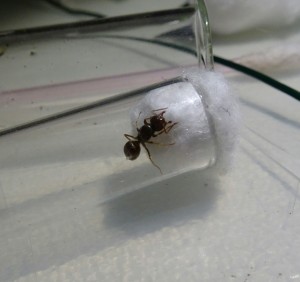 IMG_20170815_204629_228.JPG (512.7 KiB) 1382 mal betrachtet 1