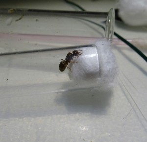 IMG_20170815_204642_350.JPG (570.65 KiB) 1382 mal betrachtet 1