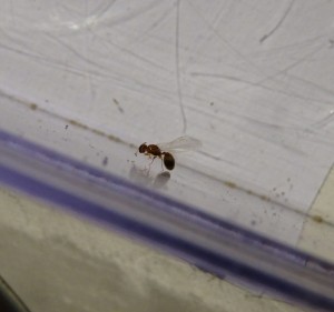 IMG_20170815_204655_542.JPG (563.41 KiB) 1382 mal betrachtet 2