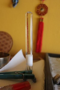 IMG_3909.JPG