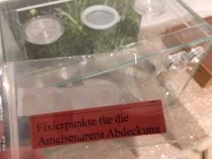 Fixierpunkte