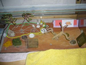 8 pathways.JPG
