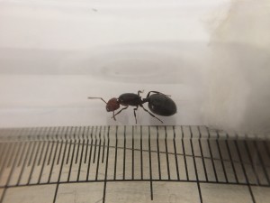 IMG_2356.jpg (949.42 KiB) 1471 mal betrachtet IMG_2356.jpg