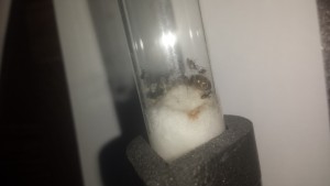 20170829_034032.jpg (505.15 KiB) 2461 mal betrachtet 20170829_034032.jpg