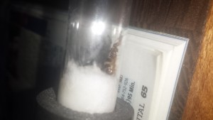 20170829_033304.jpg (607.5 KiB) 2463 mal betrachtet 20170829_033304.jpg