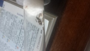 20170829_033223.jpg (664.32 KiB) 2465 mal betrachtet 20170829_033223.jpg