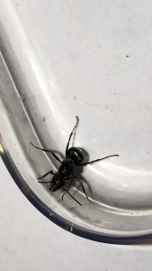 IMG_3485.PNG (1.19 MiB) 829 mal betrachtet IMG_3485.PNG