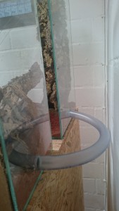 Schlauchverbindung große Arena --&gt; Nestbecken. Somit habe ich einen geschlossenen &quot;Ring&quot;, die Polyrhachis dives könnten theoretisch also einmal im Kreis laufen ;)<br /><br />Diese Verbindung wird allerdings kaum genutzt. Futter und Webmaterial wird fast ausschließlich über den langen Weg große Arena --&gt; kleine Arena --&gt; Nestbecken getragen.