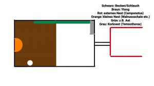 Skizze 4 (von oben [ohne Bodengrund])