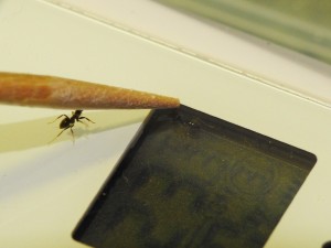 DSCN4687.JPG