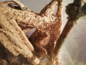 IMG_20180110_161848.jpg