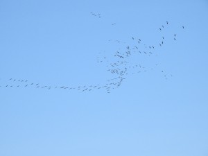 DSCN6208.JPG