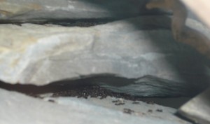 schmidti8.JPG (518.05 KiB) 16545 mal betrachtet Ich schaff es immer noch nicht, da runter zu fotografieren