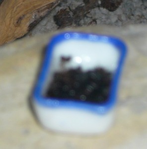 schmidti8 (3).JPG (211.96 KiB) 17141 mal betrachtet Der Fotoapparat findet einen Napf voller ertrunkener Ameisen so grausam, dass er ums Verrecken nicht darauf scharfstellen will :P