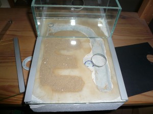 flavus8 (3).JPG (1.67 MiB) 16545 mal betrachtet Nur links ist Nest, rechts soll kein Sand-Lehm sein