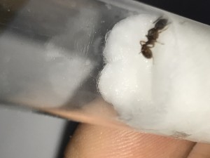 B64CB5BB-9096-4D5D-AE9B-DF93EB8B7C7E.jpeg (1003.11 KiB) 1643 mal betrachtet B64CB5BB-9096-4D5D-AE9B-DF93EB8B7C7E.jpeg