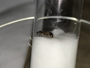 91DB3A37-84E5-4212-BAF2-33A52619C214.jpeg (1.07 MiB) 1558 mal betrachtet 91DB3A37-84E5-4212-BAF2-33A52619C214.jpeg