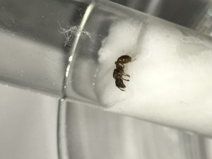 AC32AD4B-B1BE-4170-AA95-0FDC1B61C5A7.jpeg (1017.96 KiB) 1643 mal betrachtet AC32AD4B-B1BE-4170-AA95-0FDC1B61C5A7.jpeg