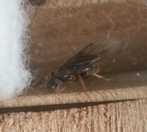 20180523_104424-1.jpg