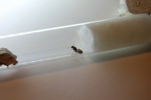 003.JPG (1.46 MiB) 3228 mal betrachtet 003.JPG