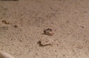 20180603_000808.jpg