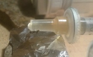 20180603_013535.jpg