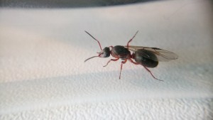 DSC_8812.JPG