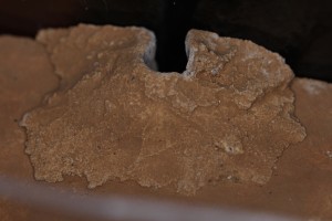IMG_0050.JPG