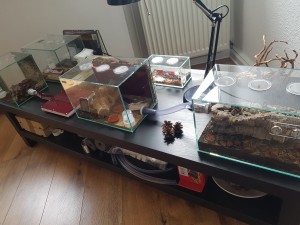 20180624_115458.jpg