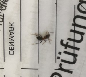 CA13CFB8-E30A-4940-9A53-A818F75D7AB7.jpeg (330.76 KiB) 608 mal betrachtet CA13CFB8-E30A-4940-9A53-A818F75D7AB7.jpeg