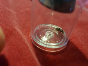 k-20180713_203904.jpg