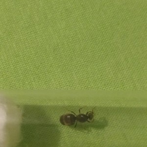 IMG_20180714_222508.jpg