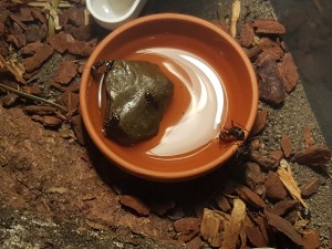 20180721_205228.jpg