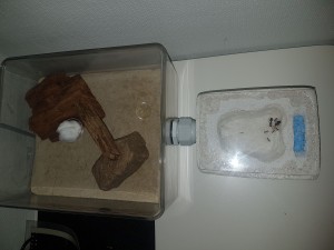 20180720_223757.jpg