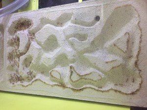 Das „bewohnte“ Nest...