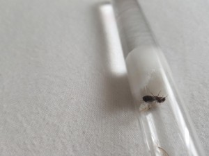 20180801_184824.jpg