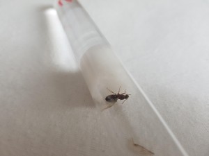 20180801_184905.jpg