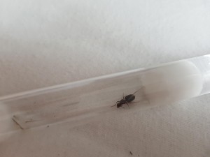 20180801_184934.jpg