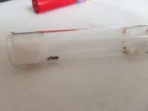 20180801_185359.jpg