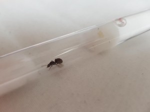 20180801_185746.jpg